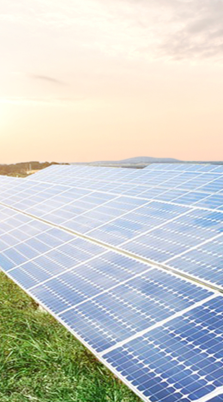 新能源及新能源汽车